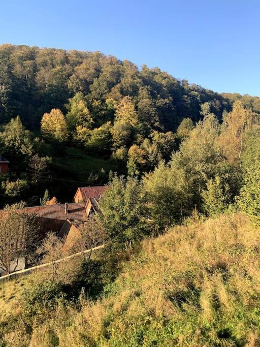 Ferienwohnung Am Hang Mit Malerischer Aussicht Osterode am Harz Exteriér fotografie